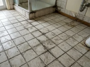 Bathroom Grout Restoration Before