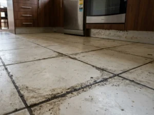 Before Kitchen Floor tile Cleaning in Sydney